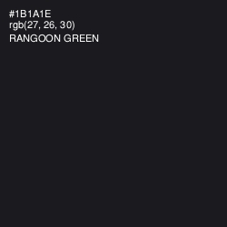 #1B1A1E - Rangoon Green Color Image